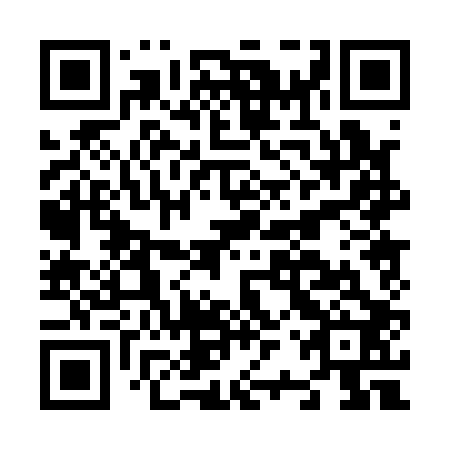 QR code for N2P102