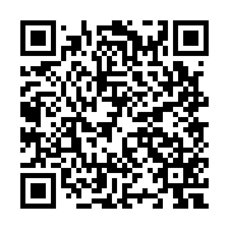 QR code for N2P155
