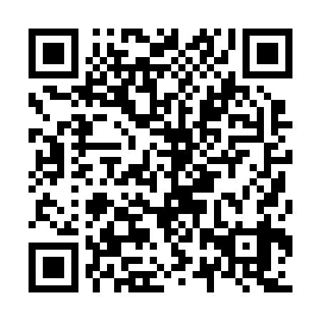 QR code for N2P239