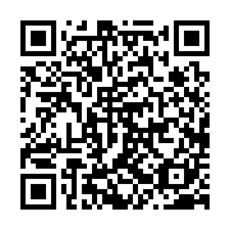 QR code for N2P301