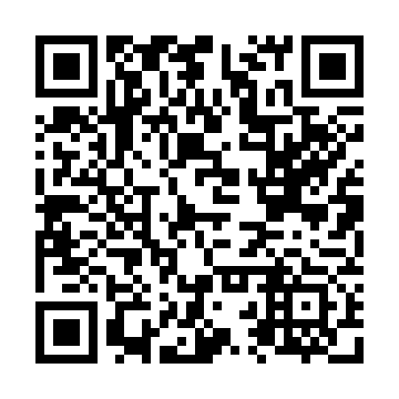 QR code for N2P373