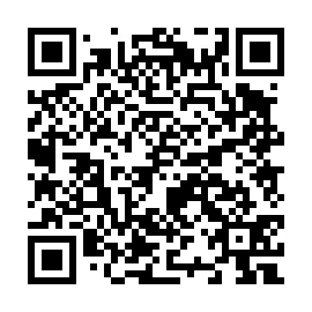 QR code for N2P431