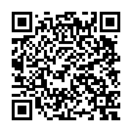 QR code for N2P435