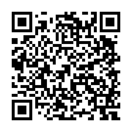 QR code for plate N2P 481