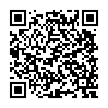 QR code for N2P485