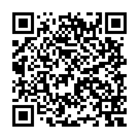 QR code for N2P599
