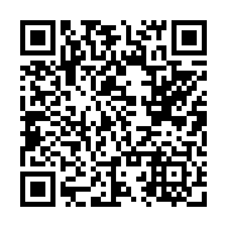 QR code for N2P603