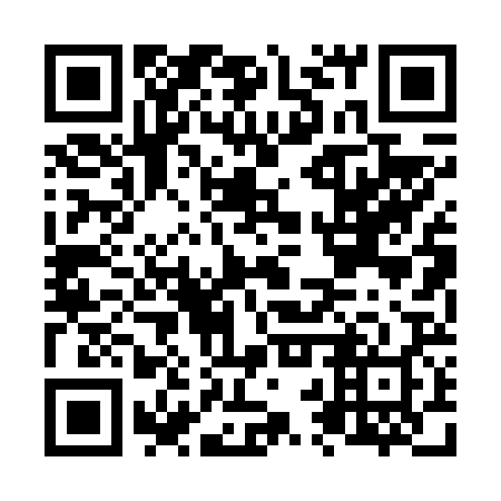 QR code for plate N2P 628