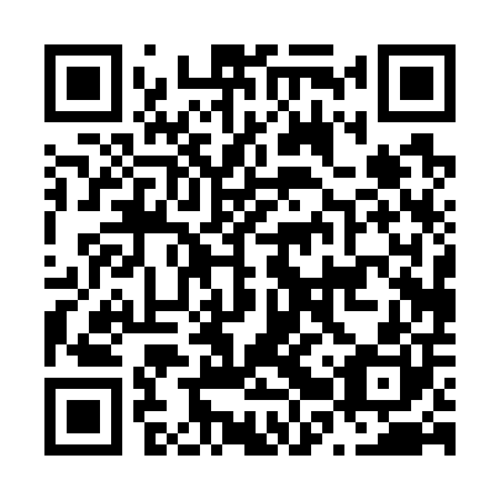 QR code for N2P700
