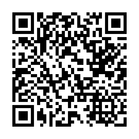 QR code for plate N2P 766