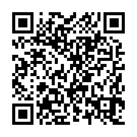 QR code for plate N2P 883