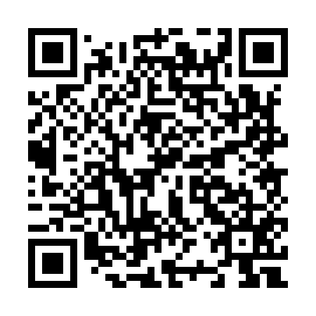 QR code for N2P955