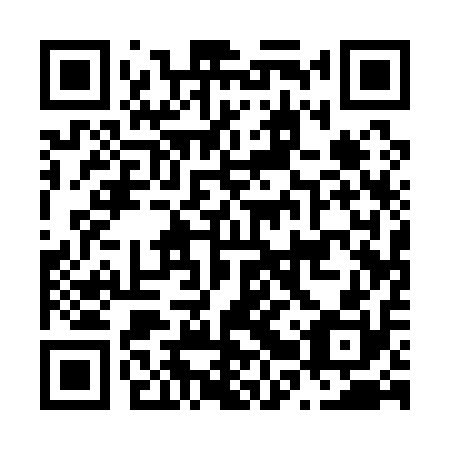 QR code for N2Q 110