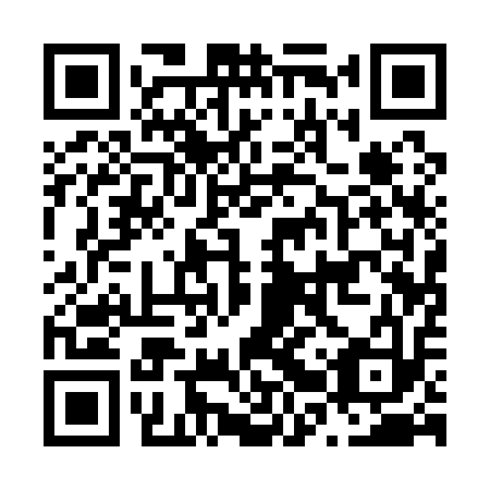 QR code for N2Q 113