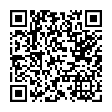 QR code for N2Q 307