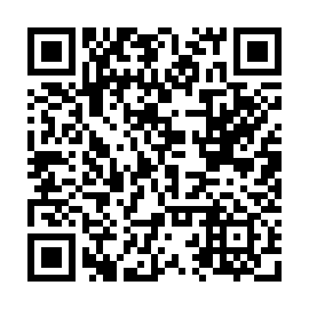 QR code for N2Q 339