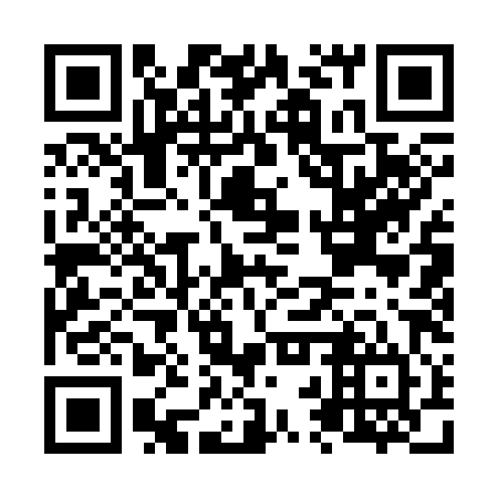 QR code for N2Q 384