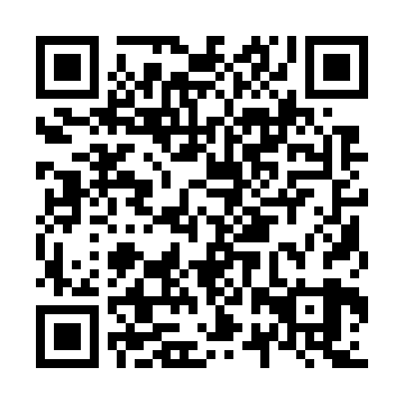 QR code for N2Q 729
