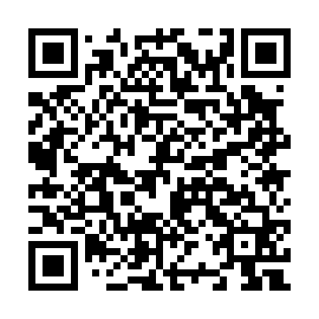 QR code for plate N2Q 060