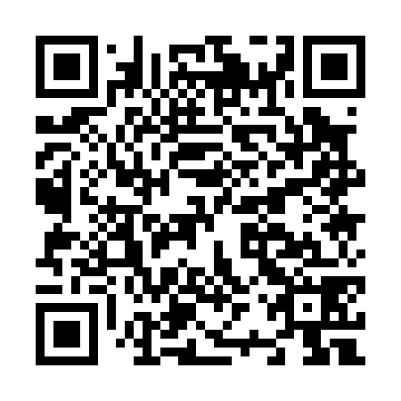 QR code for N2Q078