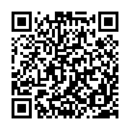 QR code for N2Q096
