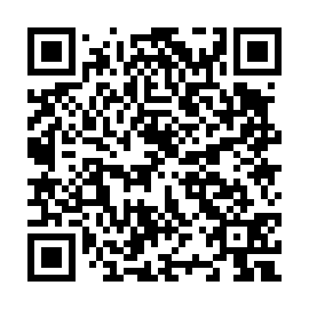 QR code for plate N2Q 431