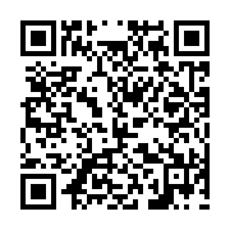 QR code for plate N2Q 991