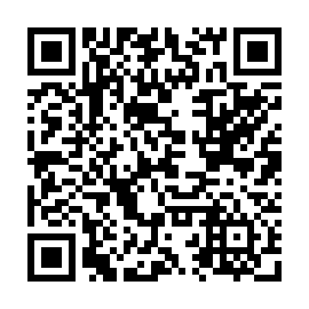 QR code for N2R 234