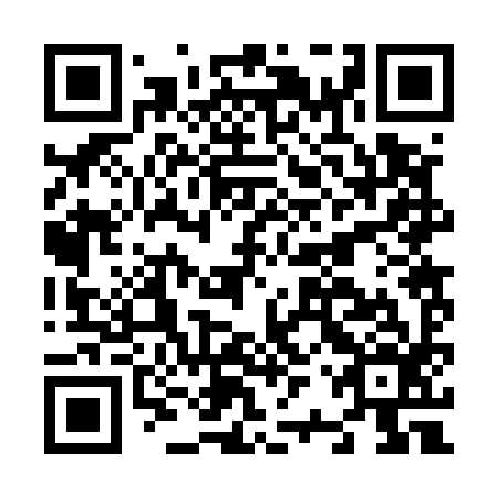 QR code for N2R 596