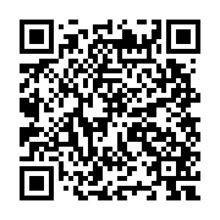 QR code for N2R 741