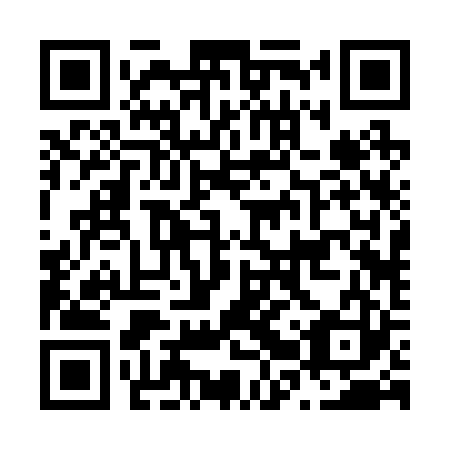 QR code for N2R223