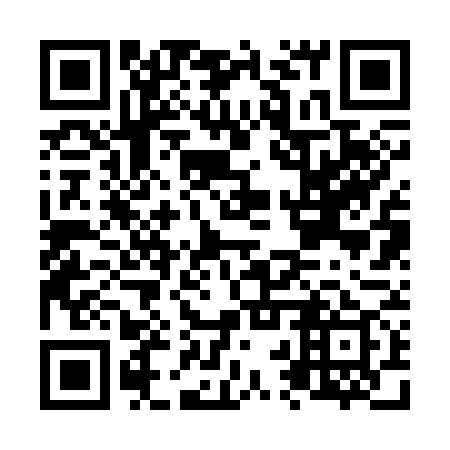QR code for plate N2R 379