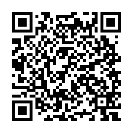 QR code for plate N2R 399