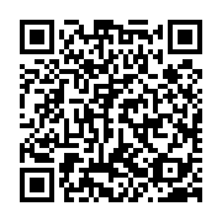 QR code for plate N2R 539