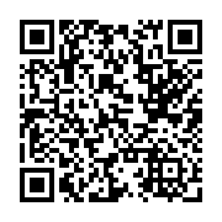 QR code for N2S 311