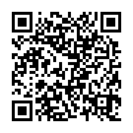 QR code for N2S 330
