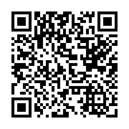 QR code for N2S 335