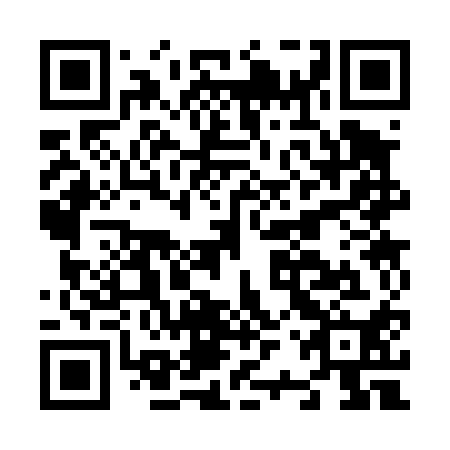 QR code for N2S 410
