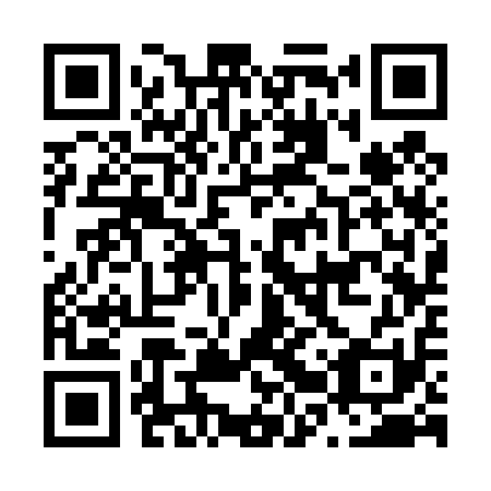 QR code for N2S 411