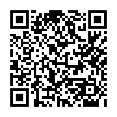 QR code for N2S 413