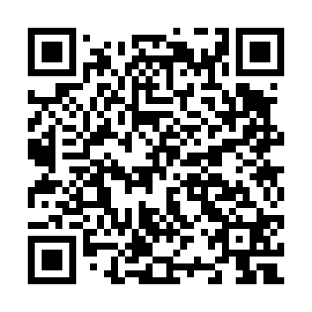 QR code for N2S 420
