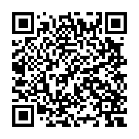 QR code for plate N2S 046