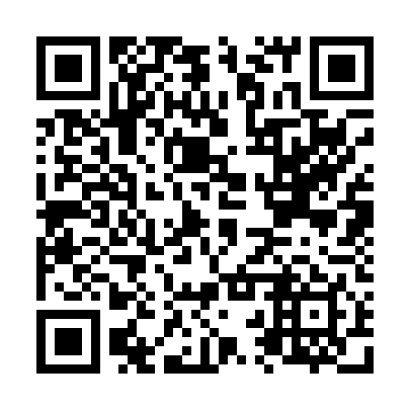 QR code for N2S049