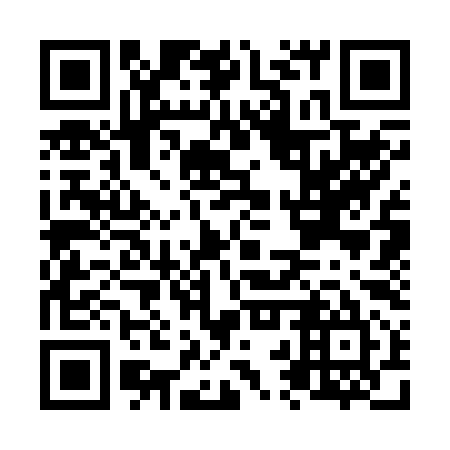 QR code for plate N2S 295