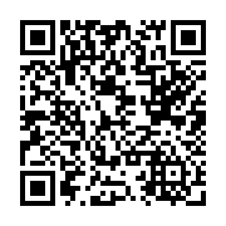 QR code for plate N2S 334