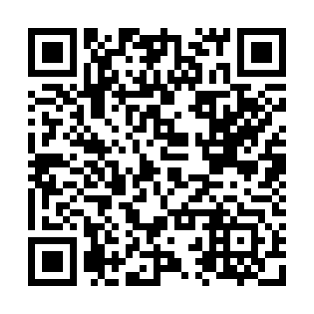 QR code for N2S343