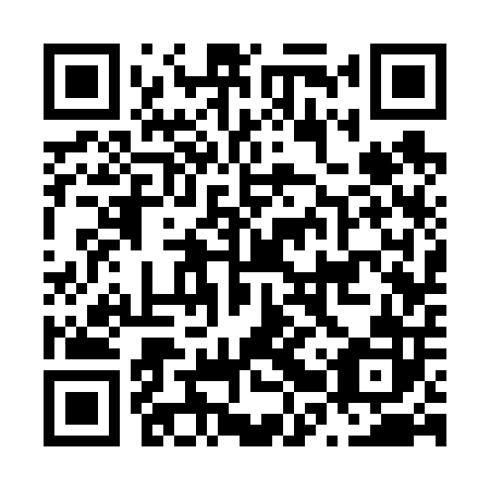 QR code for N2S602