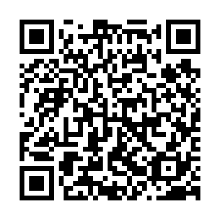 QR code for N2S630