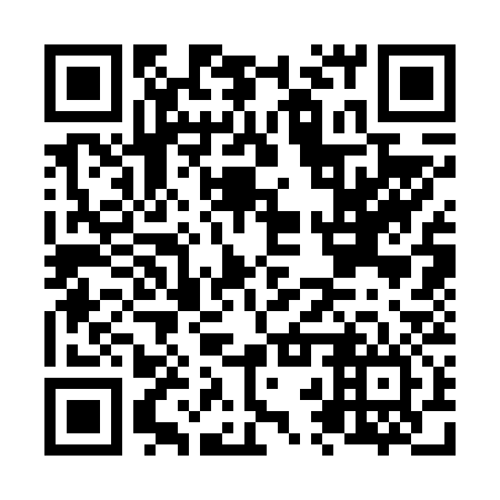 QR code for N2S636