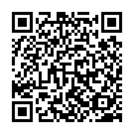 QR code for N2S728